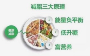 良咔瘦身为大家介绍瘦身基本的原理